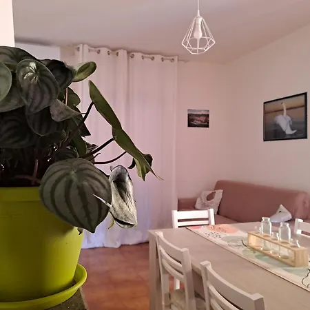 Le Floreali - Casa Rosmarino Bolsena